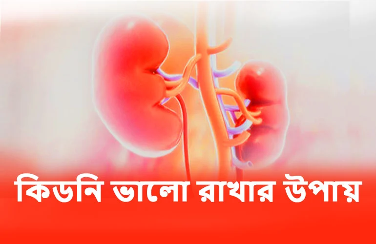 কিডনি ভালো রাখার ১৫টি কার্যকরী উপায় – সুস্থ থাকার সম্পূর্ণ গাইড  - My Classroom