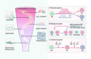 Exploring the Role of Immune Cells in Detecting and Repairing Osteoarthritis-Induced Cartilage Damage